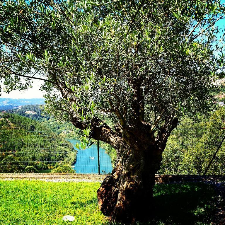 Quinta Das Tilias Douro Valley Cabaca 외부 사진